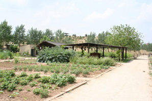 Huerta ecológica