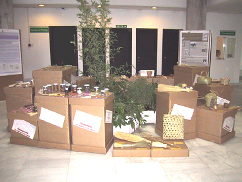 Exposición Etnobotánica. Las Plantas en la cultura. Facultad de Ciencias Biológicas de la Universidad Complutense, junio 2003