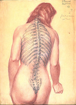 Desnudo femenino de espaldas mostrando la columna vertebral