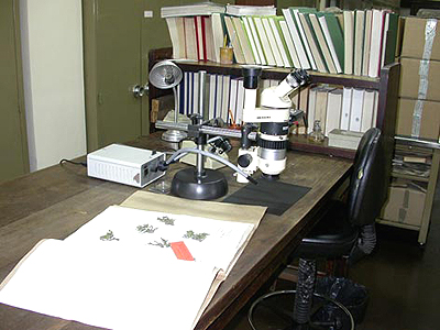 Mesa de trabajo para investigadores en el Herbario MAF