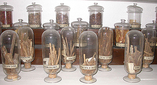 Ampollas con corteza de quina, del siglo XVIII