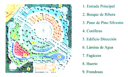 Plano del Real Jardín Botánico Alfonso XIII