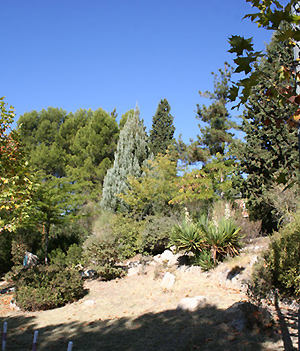 Vistas parciales del Arboreto