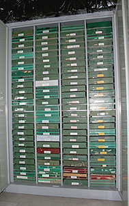 Vista general de uno de los armarios que contiene la colección entomológica