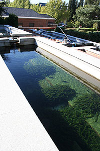 Vista parciales del conjunto de piscinas en el espacio de la piscifactoría de la Escuela de Montes
