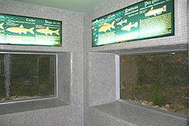 Vistas parciales de la sala de acuarios