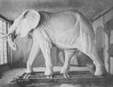 El elefante antes de serle adaptada la piel