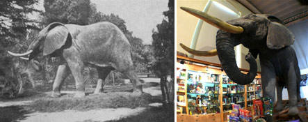 El elefante terminado, en el Jardn (izquierda) y en su ubicacin actual (derecha)