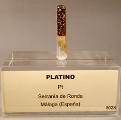 Muestra de platino procedente de la Serrana de Ronda (Mlaga), recogida por Orueta y conservada en las colecciones del Museo Geominero (IGME, Madrid).