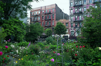 LOIDAIDA. Michela Pasquali. Los jardines comunitarios de Nueva York