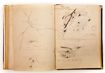 Diario de Cajal