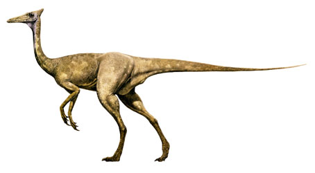 Pelecanimimus, un dinosaurio del Cretcico de Las Hoyas (Cuenca)