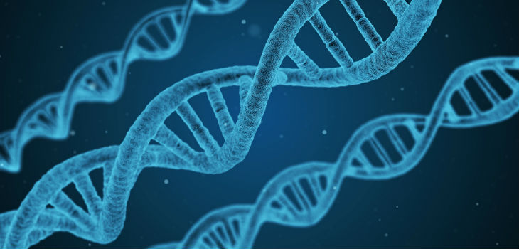 Hallan una nueva estructura en nuestro ADN, distinta de la "doble hélice". / geralt (PIXABAY)