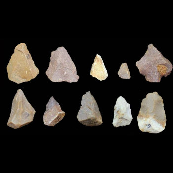 Herramientas del Paleolítico medio halladas en el yacimiento de Attirampakham, al sureste de India - Centro Sharma para la Educación del Patrimonio (India)