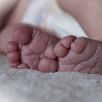De enero a junio de este año se produjeron en España 187.703 nacimientos, un 6,3 por ciento menos que en el mismo periodo del año anterior. / medialna (PIXABAY)