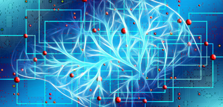 Hallan un nuevo mecanismo que refuerza las redes cerebrales de la memoria. / geralt (PIXABAY)