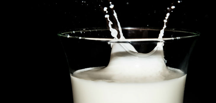 Determinan el beneficio de los lácteos frente a problemas de obesidad e hipertensión