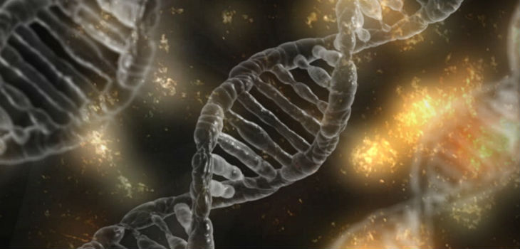 Un gen implicado en el TDAH podría estar relacionado con el consumo de sustancias adictivas. / Imagen de typographyimages en Pixabay
