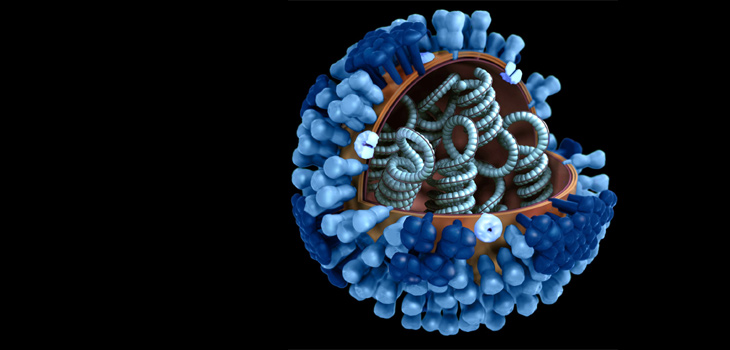 Ilustración gráfica del virus de la gripe. / Doug Jordan, M.A, USCDCP (PIXNIO)