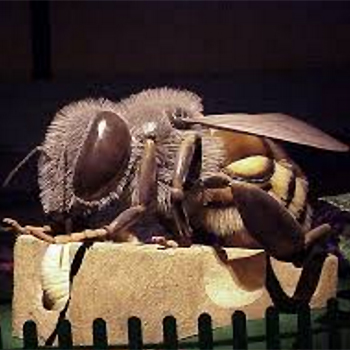 Modelo gigante de abeja robótica. / Osamu Iwasaki (FLICKR)