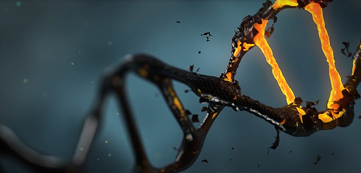 ADN, ilustración. / lisichik (PIXABAY)