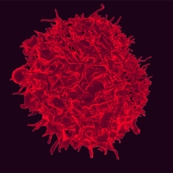 Micrografía electrónica de barrido de color del linfocito T. / NIAID (FLICKR)