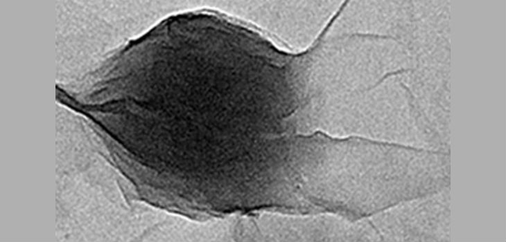 Imagen de microscopía electrónica de transmisión de una nanopartícula de polímero conjugado de unos 100 nm en diámetro en contacto con láminas de óxido de grafeno. / A.Benito y E. Istif (ICB-CSIC)