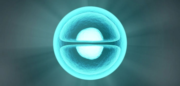 Pääbo: La modificación genética en embriones puede llevar a una nueva especie