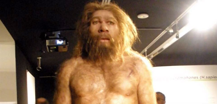Homo Neanderthalensis, Museo de la Evolución Humana en Burgos. / Zarateman (PIXABAY)