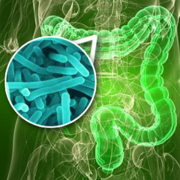 Cada persona lleva dentro de su estómago más de un kilo de microbios que son esenciales para su salud. / German Tenorio (PIXABAY)