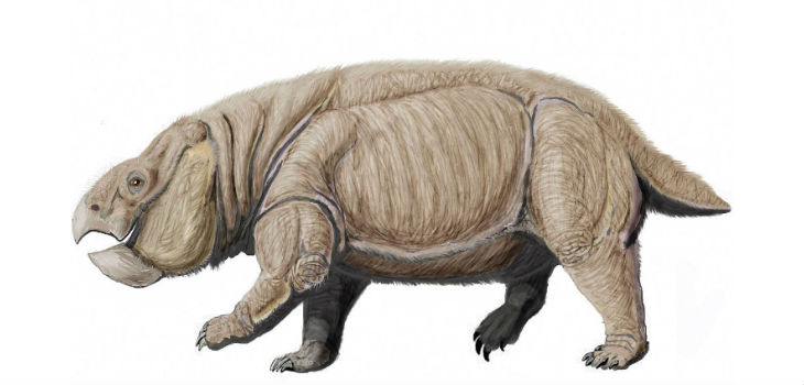 Lisowicia bojani, a giant dicynodont from Late Late Triassic of Poland | Dmitry Bogdanov