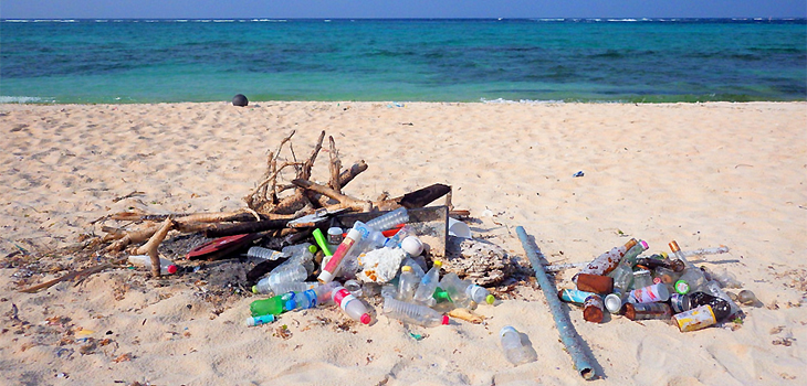 Los humanos ya han generado 8.300 millones de toneladas de plástico
