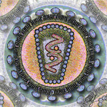 Representación del virus de la inmunodeficiencia humana.  / Los Alamos National Laboratory (WIKIMEDIA)