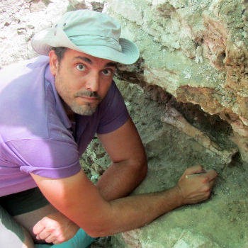 Entrevista a Manuel J. Salesa, investigador en el departamento de Paleobiología del Museo Nacional de Ciencias Naturales (MNCN-CSIC)