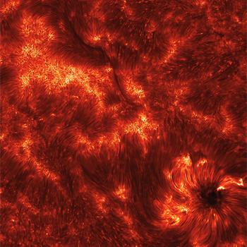 Espículas solares. / K. Reardon (Osservatorio Astrofisico di Arcetri, INAF) IBIS, DST, NSO