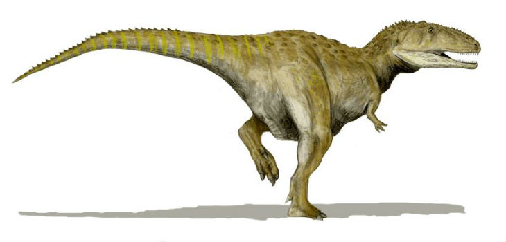 Mapusaurus roseae, un carcharodontosáurido del Cretácico superior de Argentina, dibujo a lápiz. / Nobu Tamura (WIKIMEDIA)