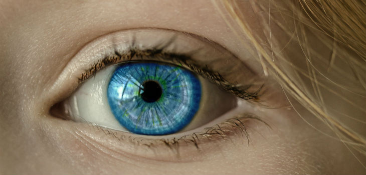 Un biomarcador en la retina podría detectar el párkinson. / cocoparisienne (PIXABAY)