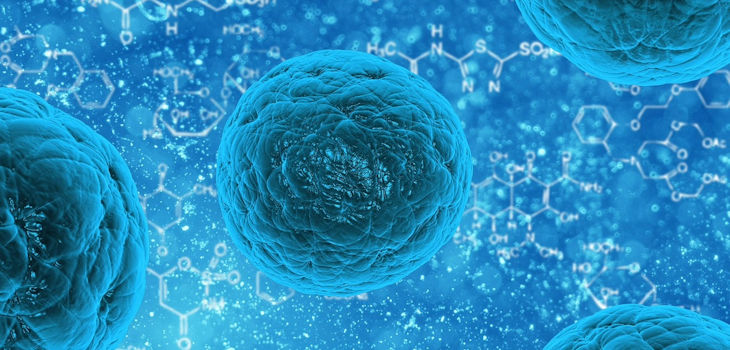 Las células madre cancerígenas aparecen en una etapa posterior del desarrollo del tumor