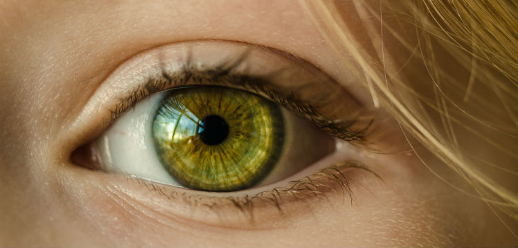Nueva prótesis de retina para dar cierta capacidad de visión a algunas personas invidentes. / Skitterphoto (PIXABAY)