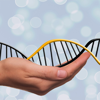 Del deseo a la realidad: la edición genética (aún) no está preparada para tratar a pacientes
