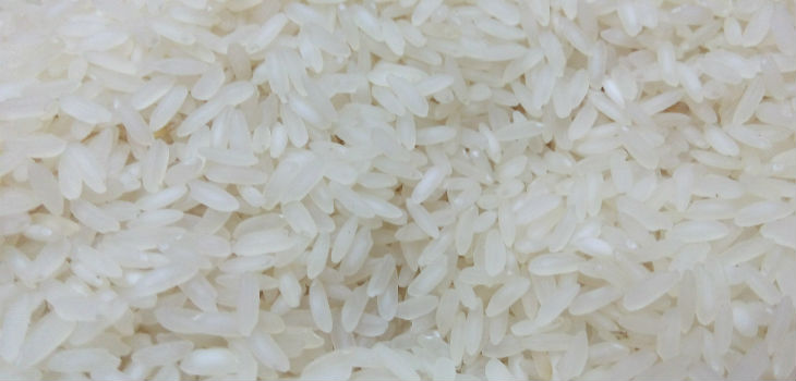 Tres proteínas producidas en semillas de arroz neutralizan el VIH 'in vitro'