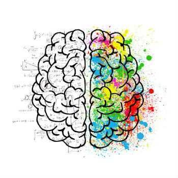 El neurocientífico Gustavo Deco bromea: "Sobre el cerebro básicamente no sabemos nada". / ElisaRiva (PIXABAY)