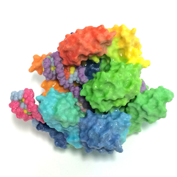 Impresión 3D de la enzima Cas9 de CRISPR, especializada en cortar ADN. / NIH Image Gallery (FLICKR)
