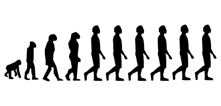 Los análisis indican que la mayor parte del flujo de los genes neandertales en los primeros humanos modernos se originó de una o más poblaciones que divergieron de los últimos neandertales. / Clker-Free-Vector-Images (PIXABAY)
