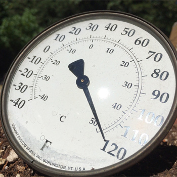  Termómetro marcando 50 grados centígrados. / johninuptown (PIXABAY) 