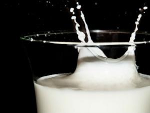 Determinan el beneficio de los lácteos frente a problemas de obesidad e hipertensión