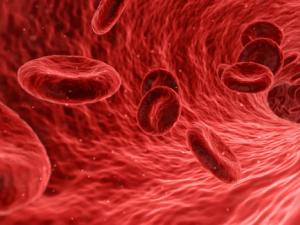 Expression of a molecule in blood cells predicts atherosclerosis risk