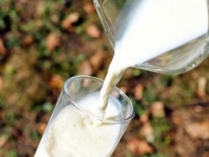 Un nuevo escáner de cinco minutos para la industria láctea