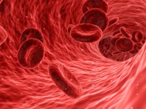 El equipo ha logrado replicar la actividad de cada célula de la pared arterial (células endoteliales, células de músculo liso) y en el flujo sanguíneo (glóbulos rojos, plaquetas, glóbulos blancos). / qimono (PIXABAY)