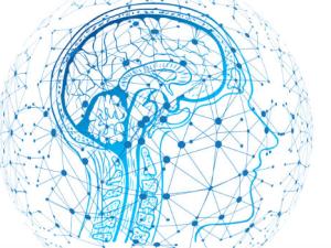 La neuroimagen que nos ayuda a reparar nuestros cerebros